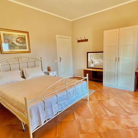 B&B Terre Toscane Ciggiano Buitenkant foto