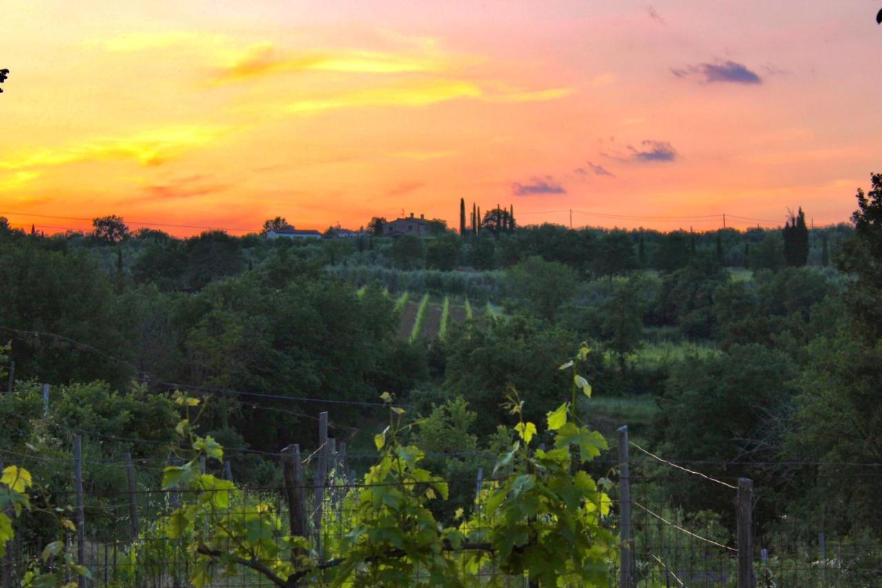 B&B Terre Toscane Ciggiano Buitenkant foto